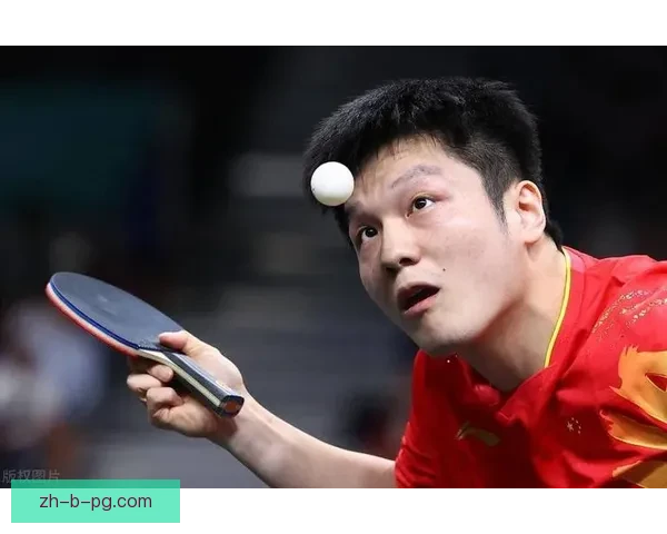 乒乓球世界纪录大揭秘：你知道这些惊人数字吗？