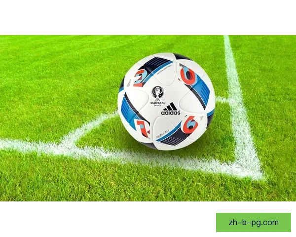 全面解析足球直播平台及赛事分析