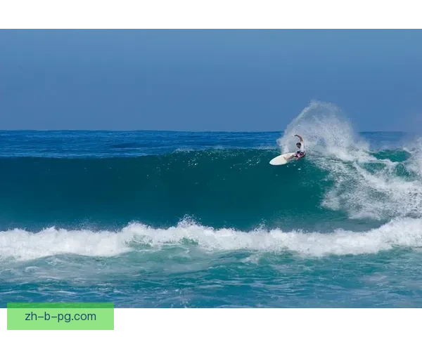 学会冲浪，轻松起初级到高级波浪：教学视频全攻略