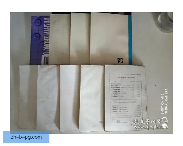 射击对战：战术分析与实战技巧