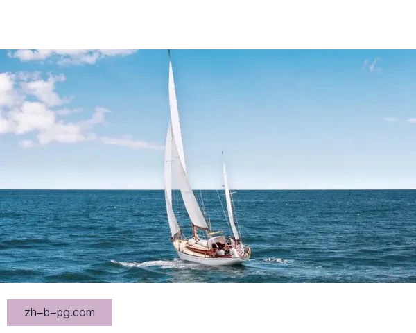 帆船直播：航行风云录