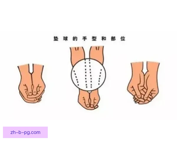 排球初学者必备技巧分享 排球初学者必备技巧分享