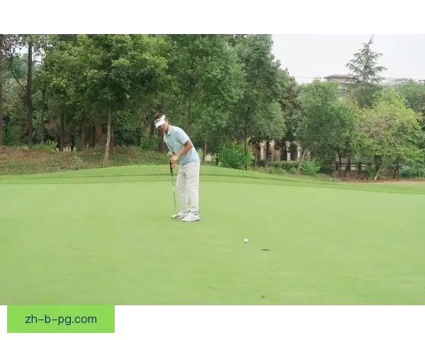 探寻高尔夫公开赛的魅力与风采