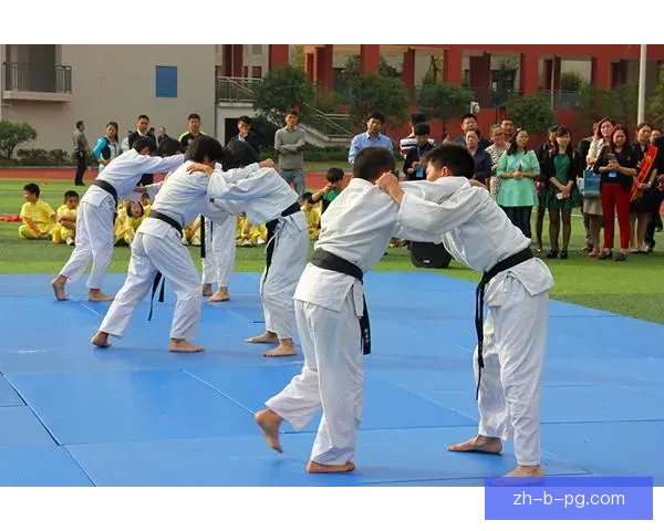 柔道世界纪录：壮观纪录挑战与创新篇