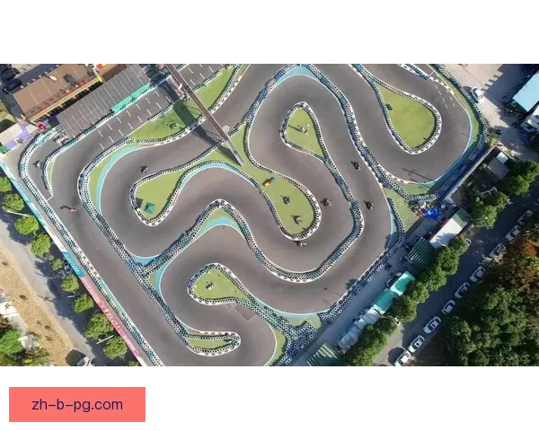 速度与激情：学习赛车技术，提升赛道表现