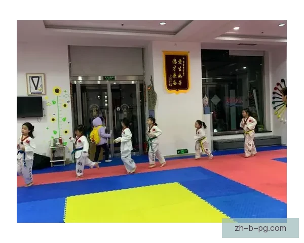 跆拳道训练方法：提高技术水平的有效途径