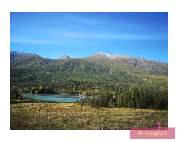 马拉松全程教程：科学训练、合理饮食与心态调整